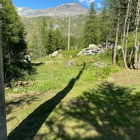 Rododendro Breuil-Cervinia